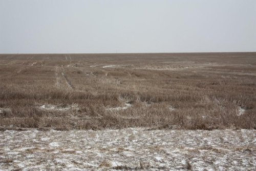 Property photo 58 - Kansas Land Auction - 960 Acres - 7 Farms in 3 Counties